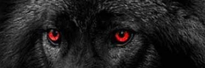 Kdg127's profile banner image