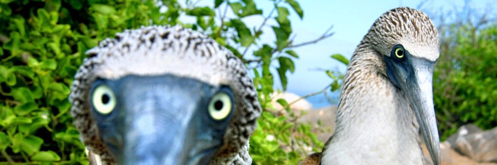 EMColumbus's profile banner image