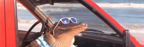 captn_coops's profile banner image