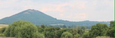 Ruth Handley banner