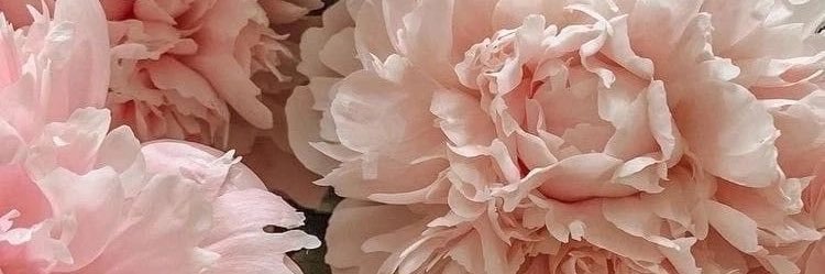 rrumyq's profile banner image