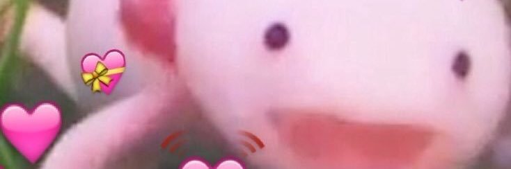 lleeyyllaaaaaa's profile banner image