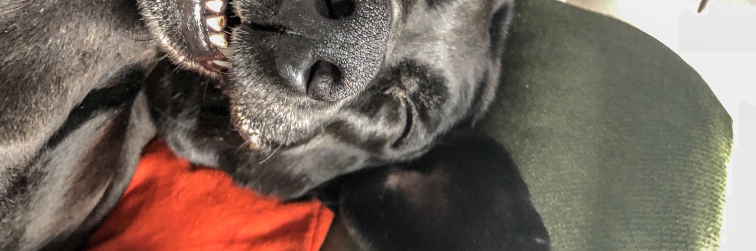manugf09's profile banner image