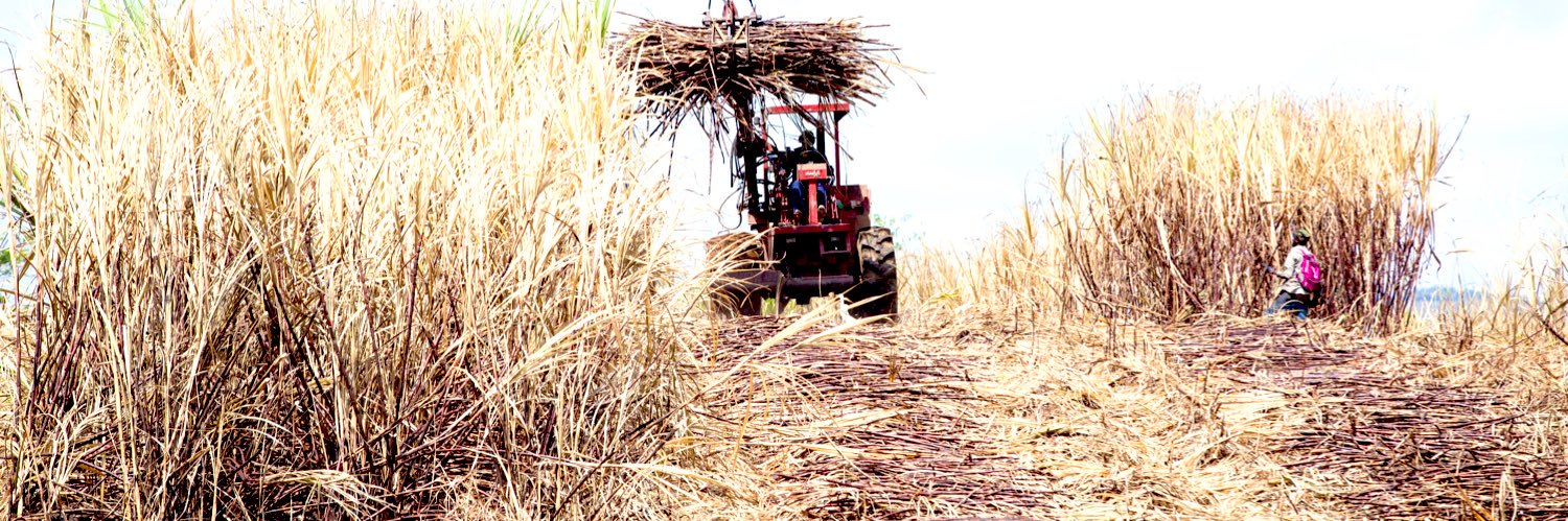 Riki Samuda✨ banner