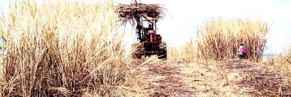 RikiSamuda Profile Banner