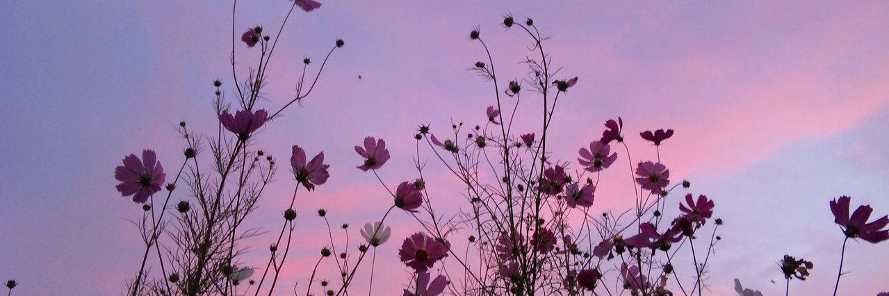 Isassouzza's profile banner image