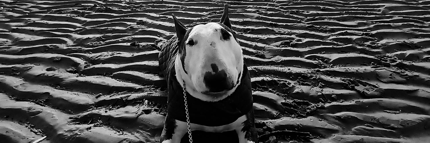 cherylin Fiona 💙 banner