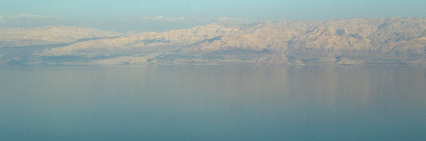 tzvibarish's profile banner image