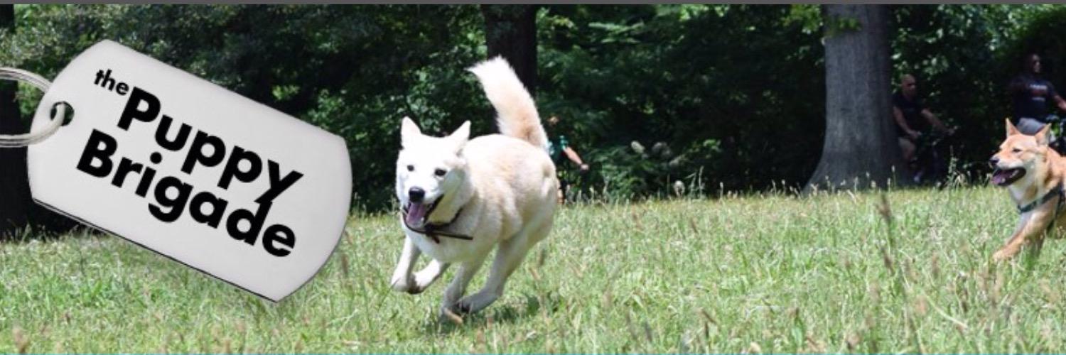 ThePuppyBrigade's profile banner image