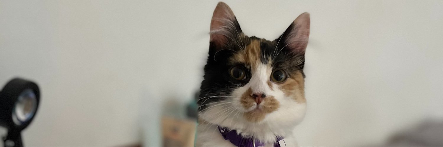 SmAgustina's profile banner image