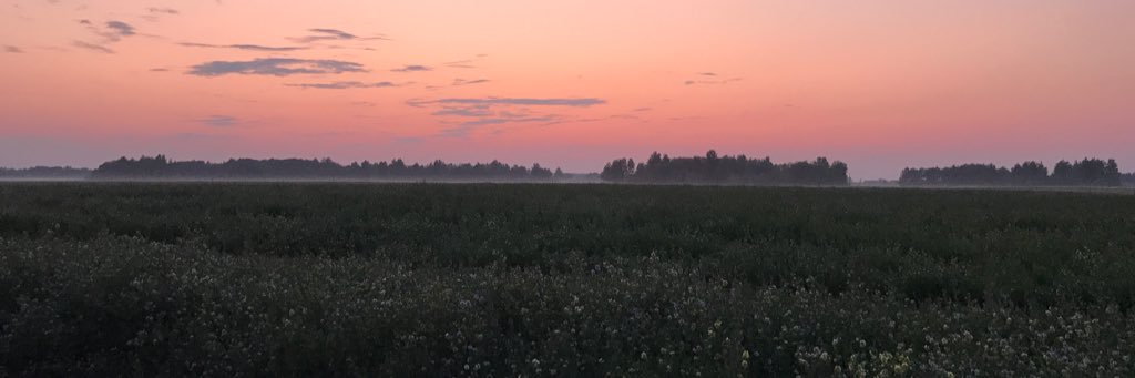 smolidze's profile banner image