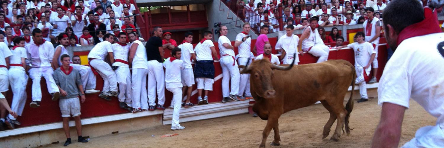 Corbin Norton, MD / MPH banner