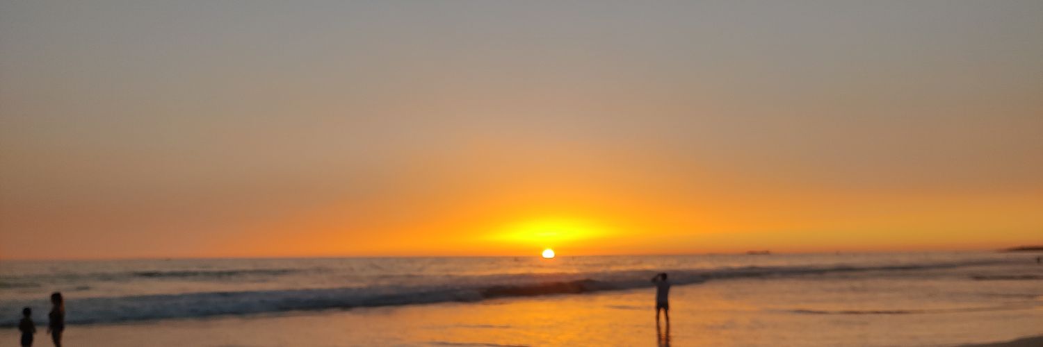isvida's profile banner image