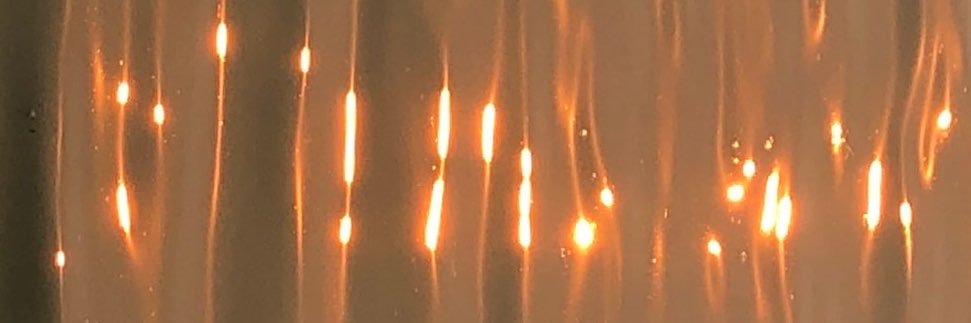 iceshrims's profile banner image