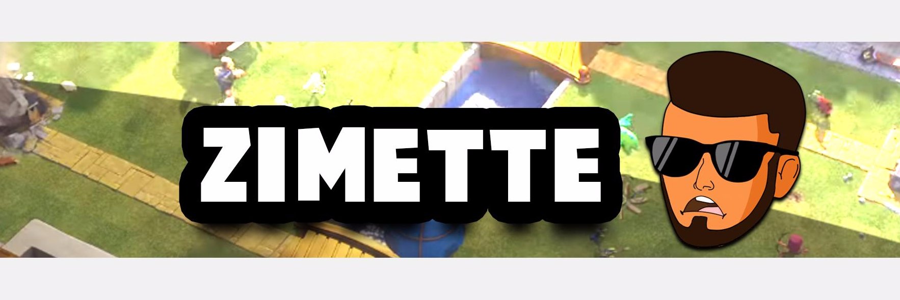 Zîm banner