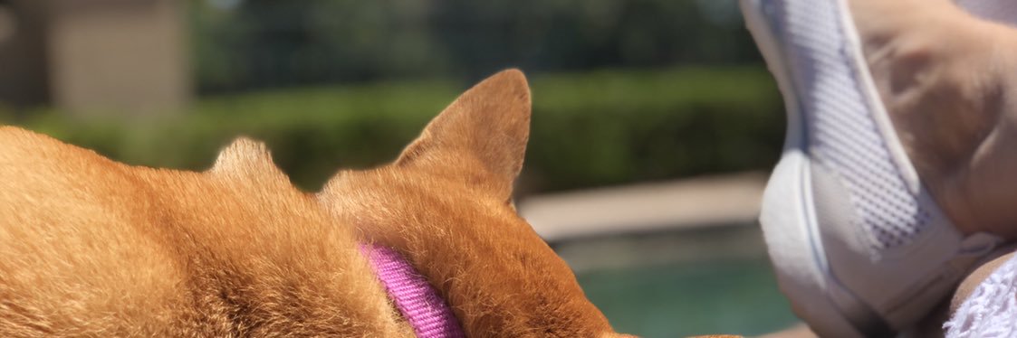JudyBellack's profile banner image