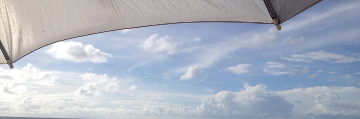 somhmee's profile banner image