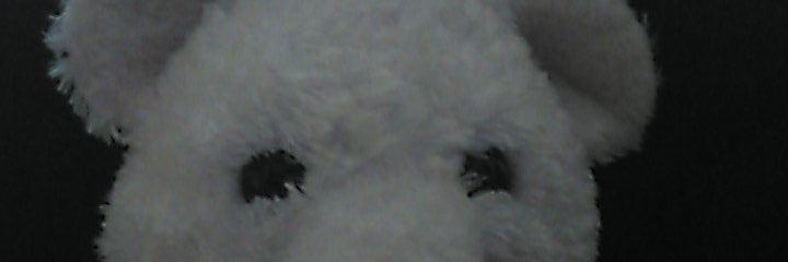 pacorodri43's profile banner image