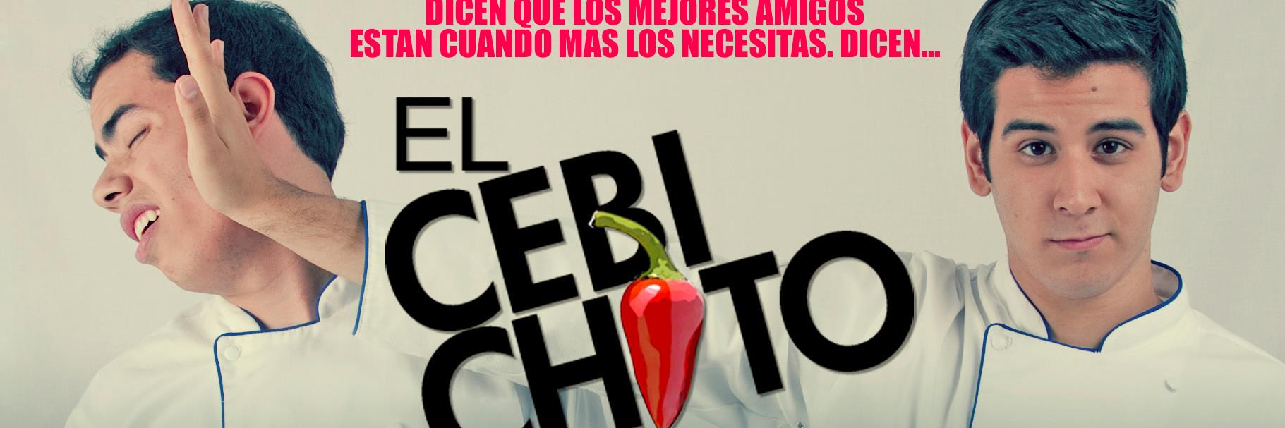 elcebichito2015's profile banner image
