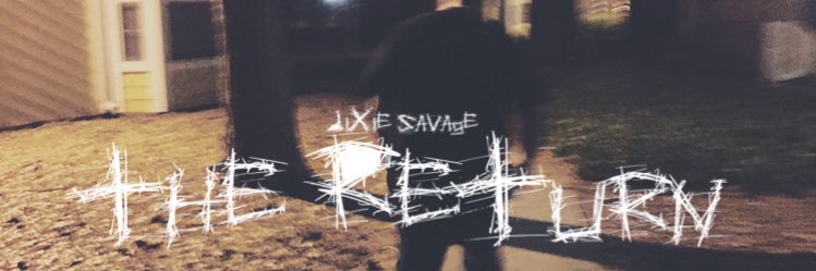 dixiesavagedtom's profile banner image