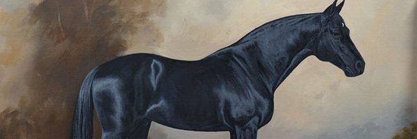 NancyKleck Profile Banner