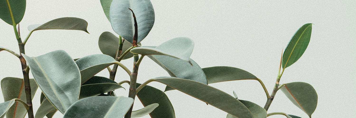 roziits's profile banner image