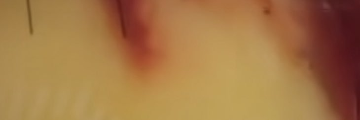 canijustexist6's profile banner image