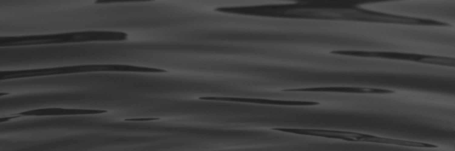 Laruus3's profile banner image