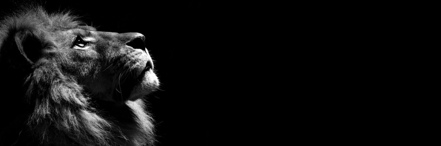 Asapj_34's profile banner image