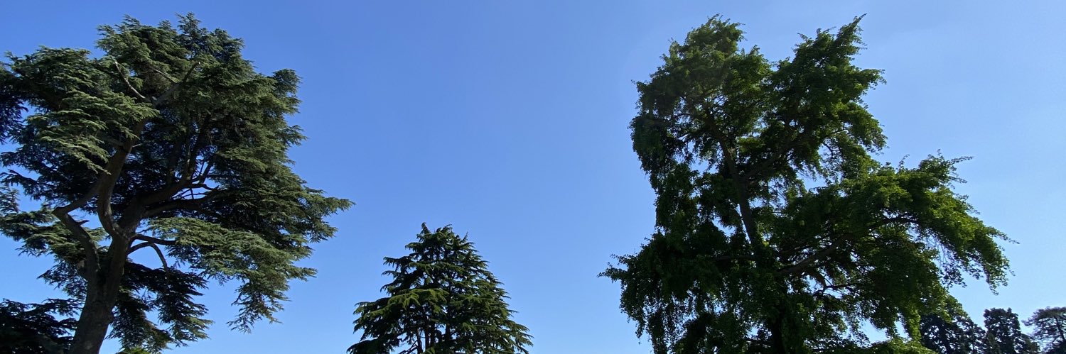 ibanjorge1's profile banner image