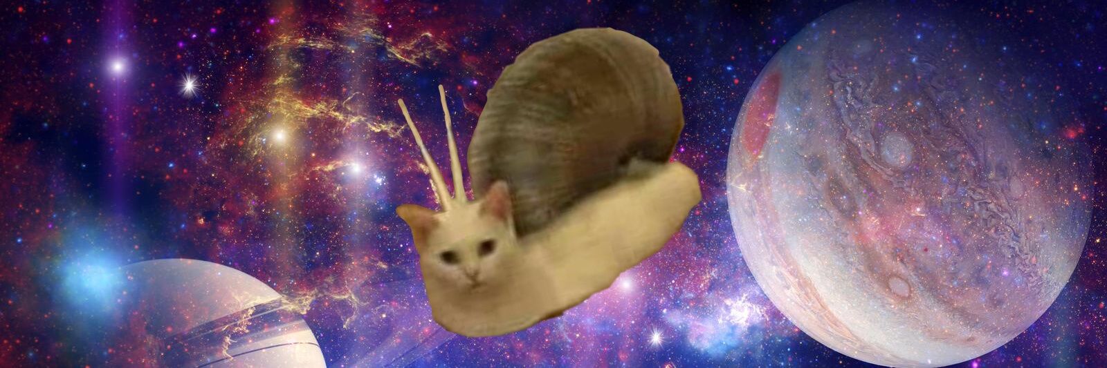 SnailCatInSpace's profile banner image