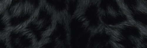 celestemaar's profile banner image