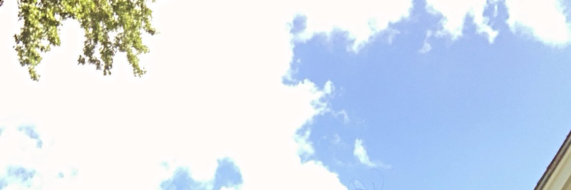 TurkMaxo's profile banner image
