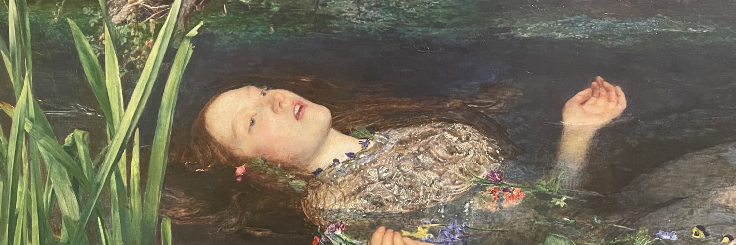 laydasland's profile banner image
