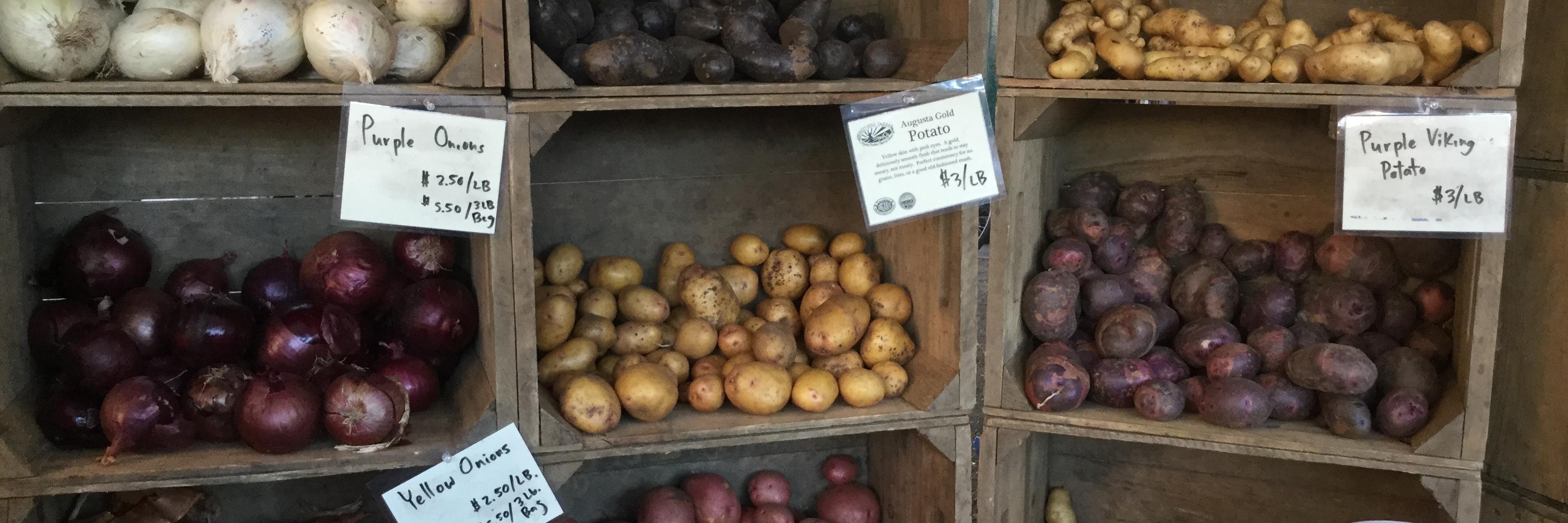 AndSheCanCook's profile banner image