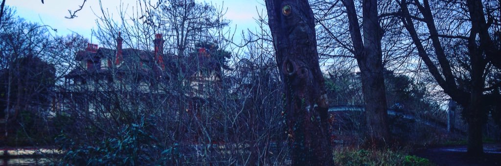 xPlater_'s profile banner image