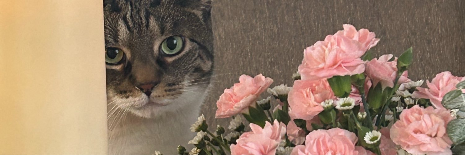 robs0051's profile banner image
