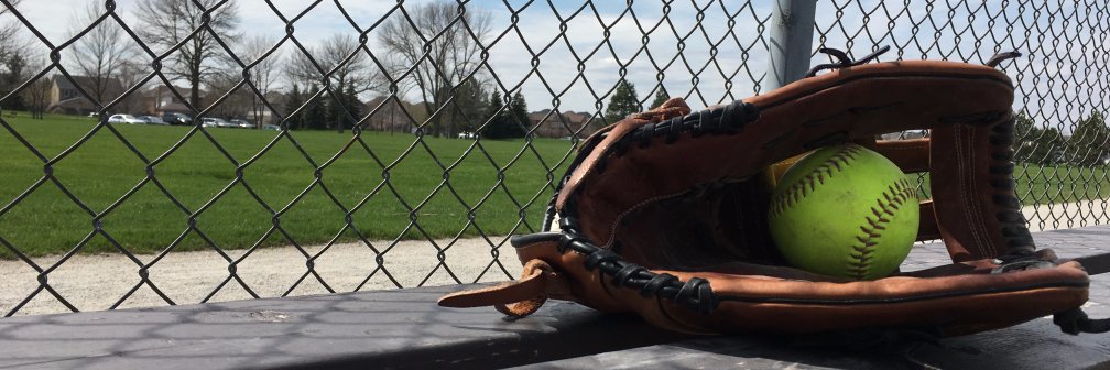 BASASoftball's profile banner image