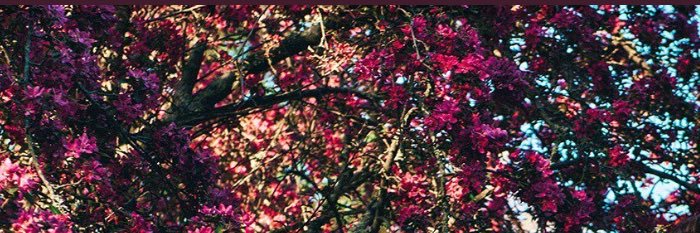 tashnco's profile banner image
