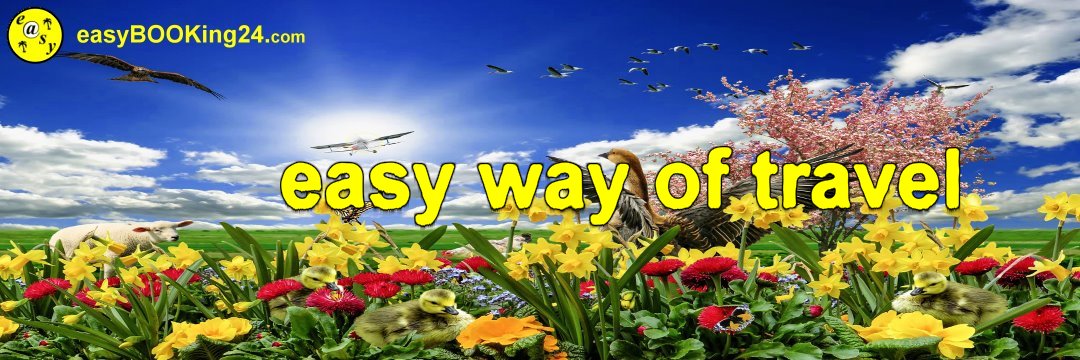 easyBOOKing24's profile banner image