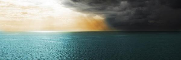 LexiIsAWriter Profile Banner