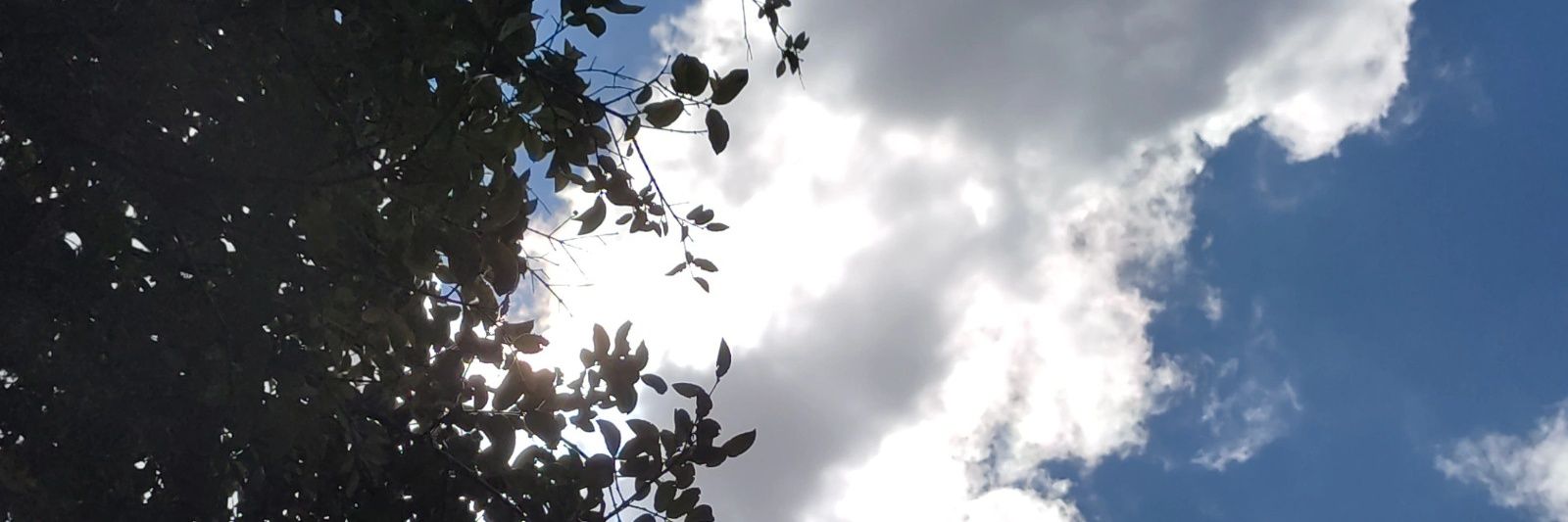 JACarroway's profile banner image