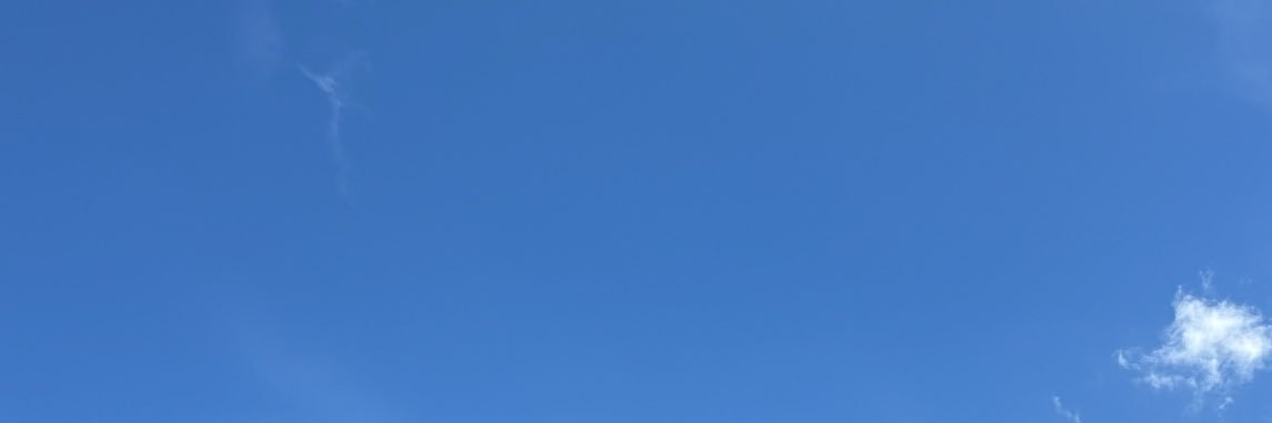 juliahorstr's profile banner image