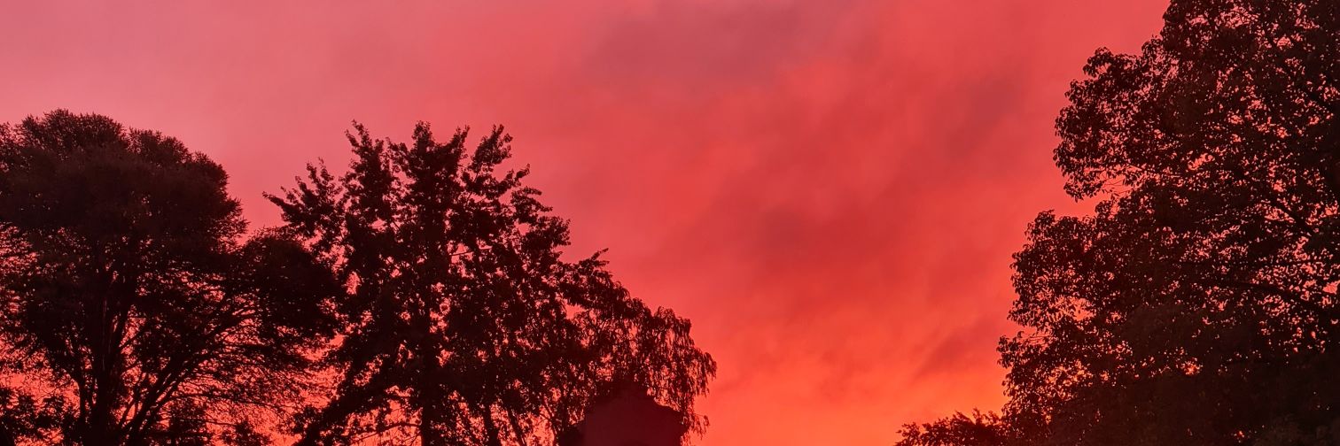 marrtinu's profile banner image