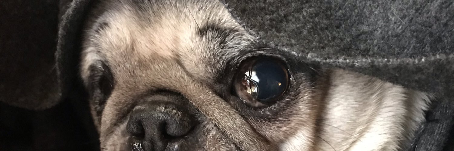 DaBossy's profile banner image
