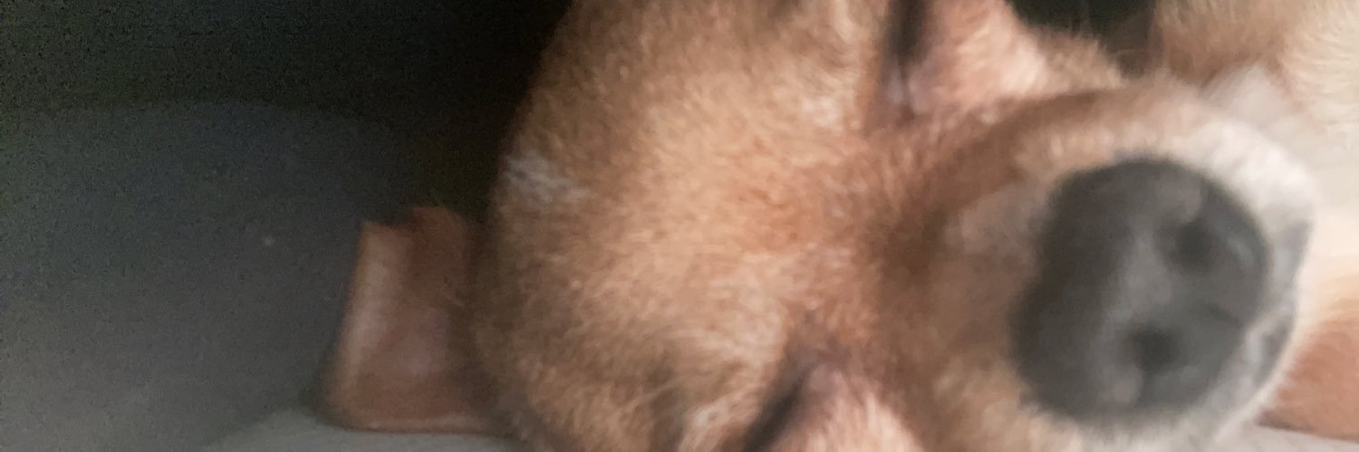 yareemithh's profile banner image