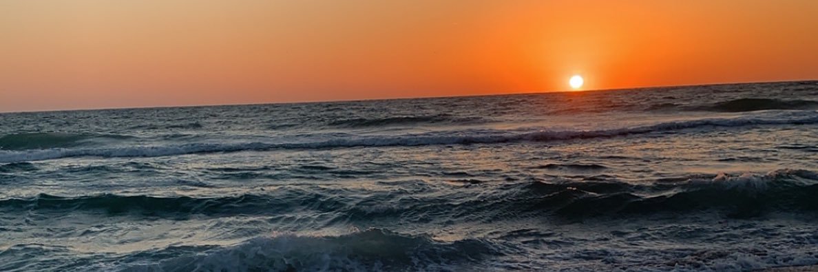 odegardlauren's profile banner image