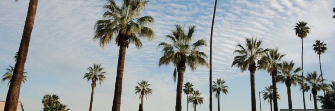 megweishaar's profile banner image