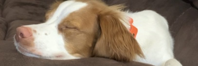 CindyFriese1's profile banner image