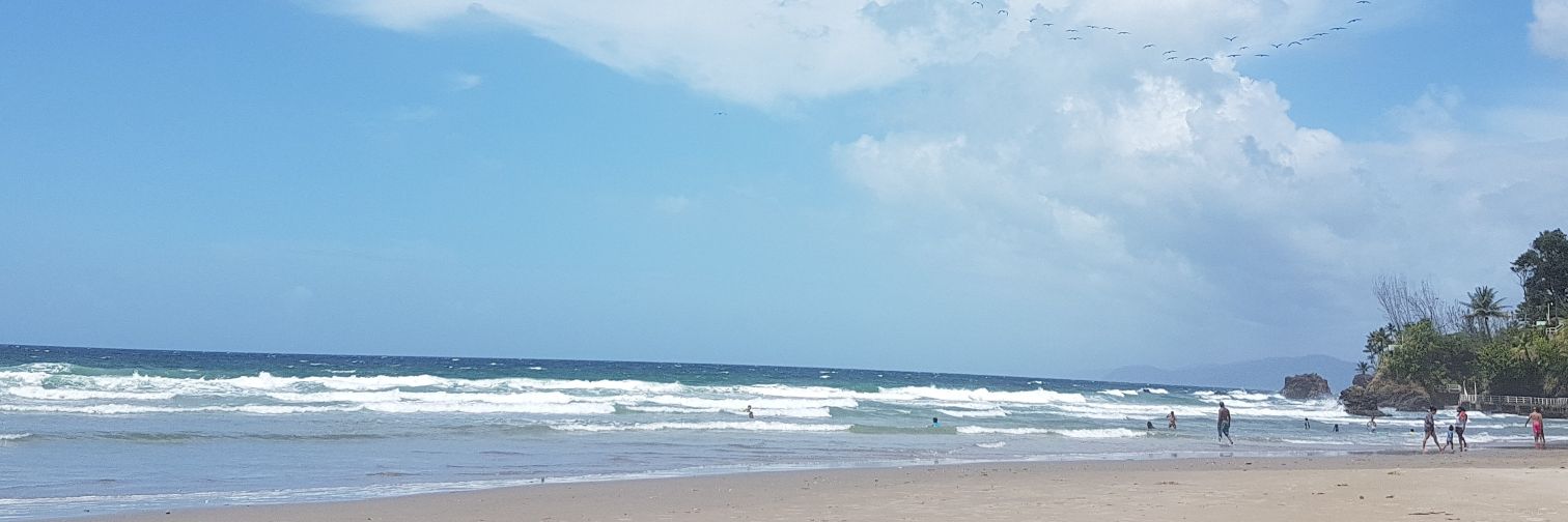 dcedwards_'s profile banner image